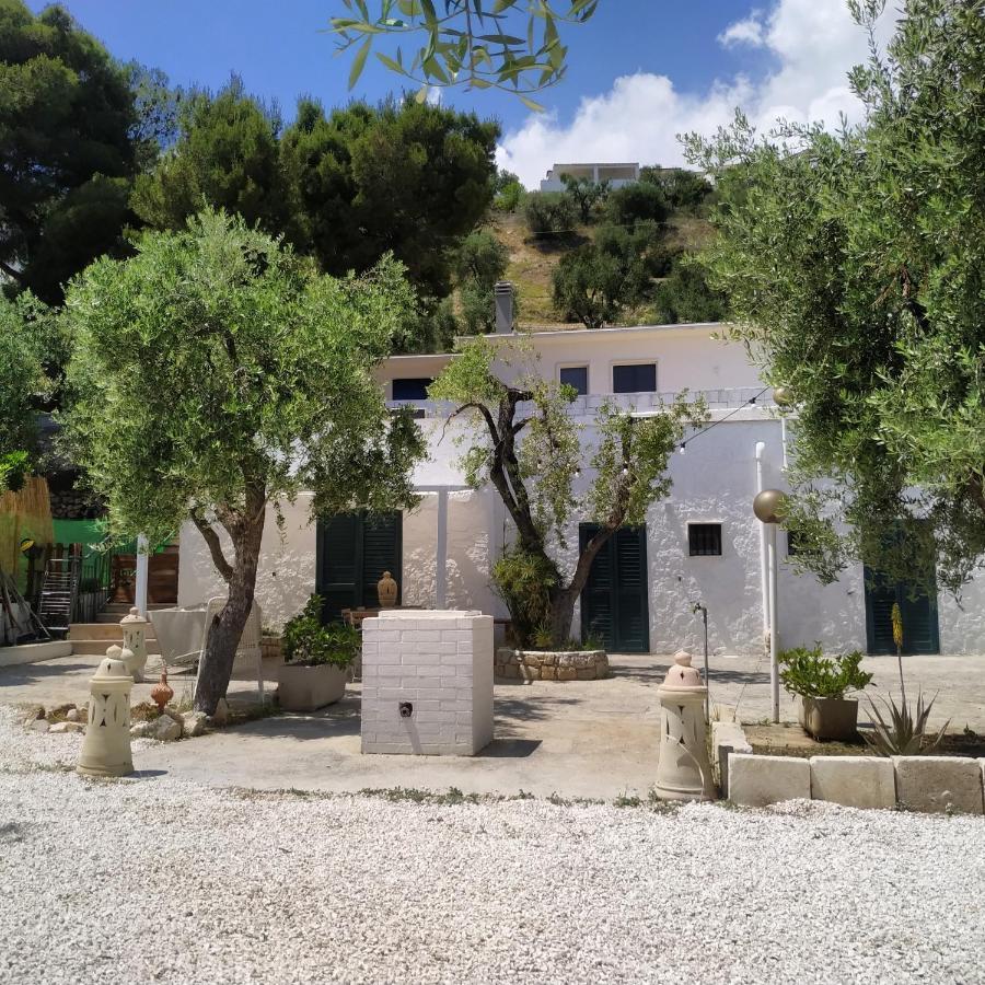 Petra Bianca Charming House Villa Mattinata Dış mekan fotoğraf