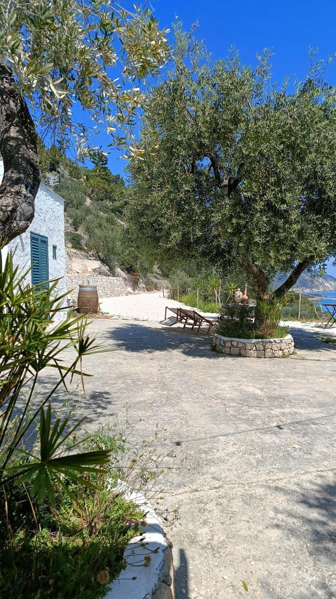 Petra Bianca Charming House Villa Mattinata Dış mekan fotoğraf