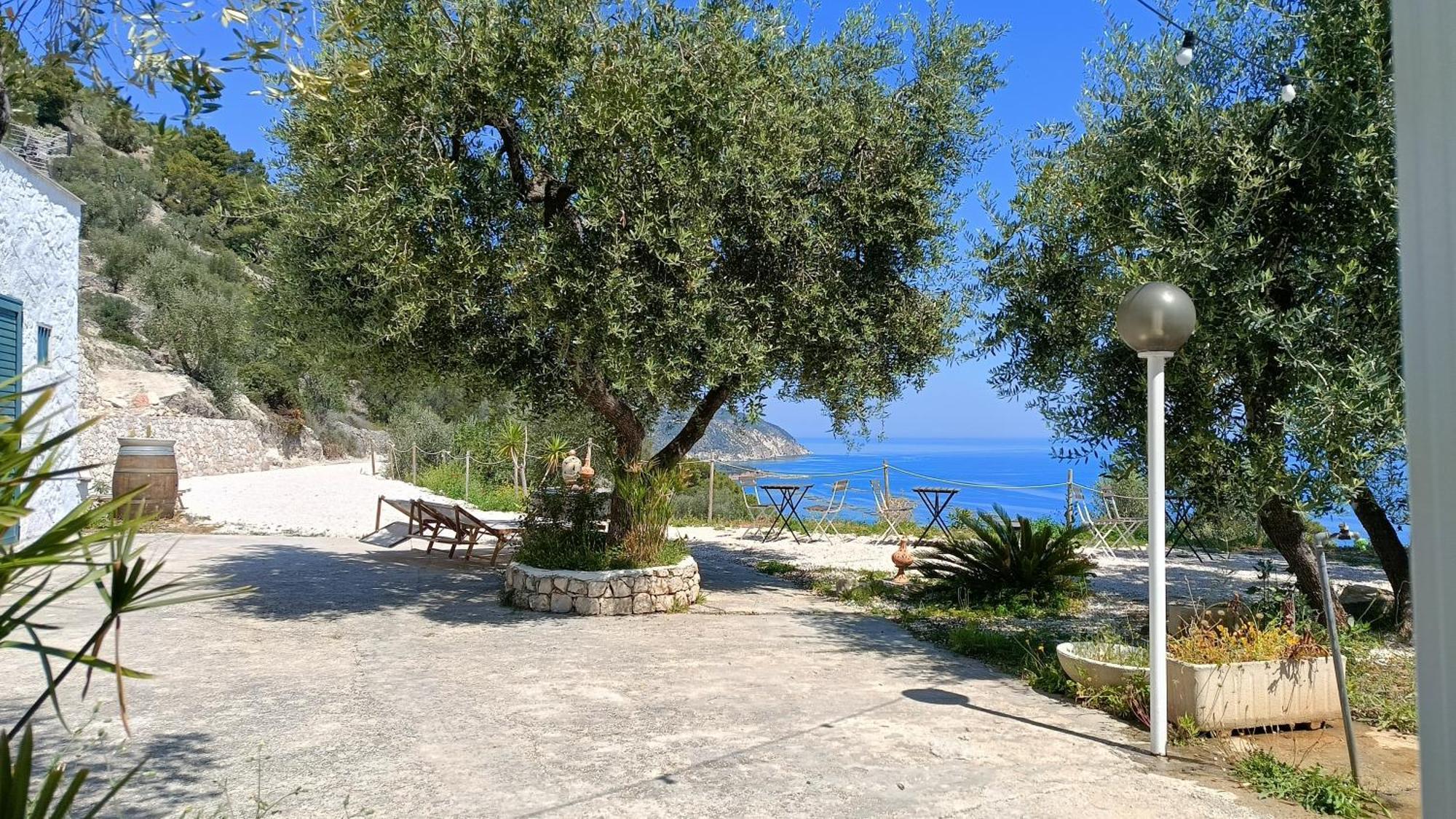 Petra Bianca Charming House Villa Mattinata Dış mekan fotoğraf
